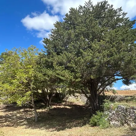 Villa Trullo Le Martina Franca